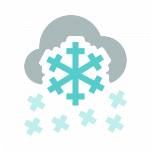 Snowstorm